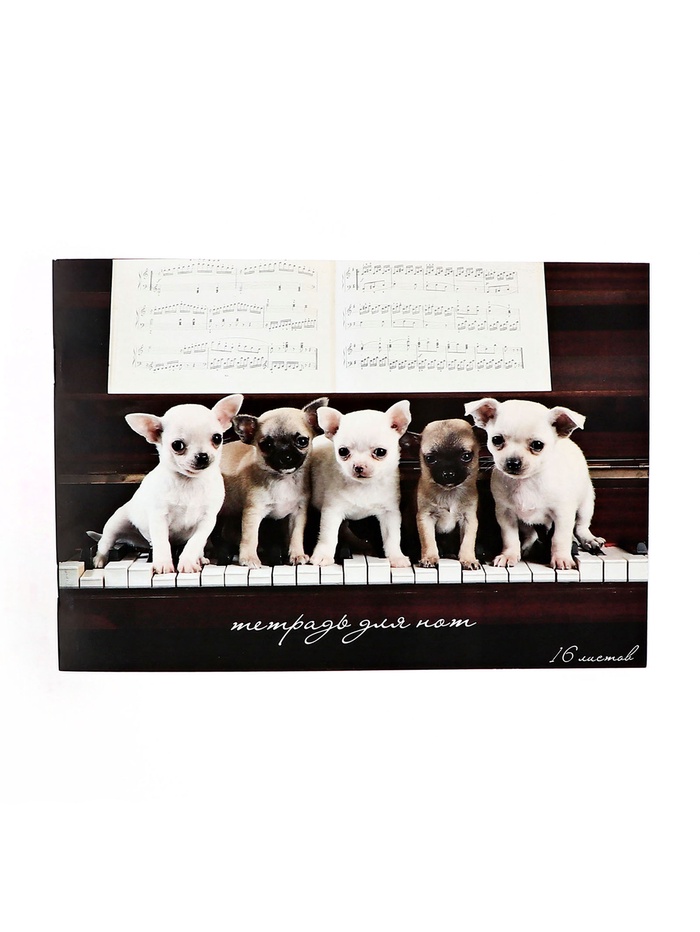 Тетрадь для нот Calligrata «Щенки на фортепиано» А5, 16 листов, горизонтальная - Фото 1