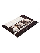 Тетрадь для нот Calligrata «Щенки на фортепиано» А5, 16 листов, горизонтальная - Фото 2