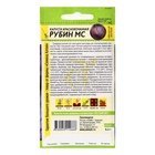 Семена Капуста краснокочанная "Рубин МС" , 0,3 г 10811087 - фото 14335347