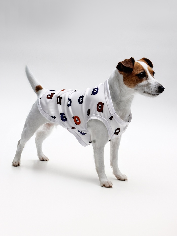 Футболка для животных «Мишка», XL (ДС 38, ОГ 50 см), белая - Фото 1