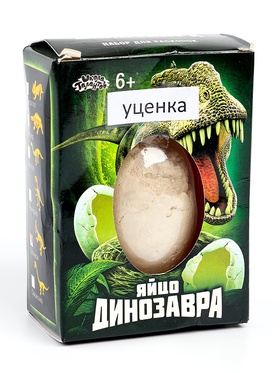 {{productViewItem.photos[photoViewList.activeNavIndex].Alt || productViewItem.photos[photoViewList.activeNavIndex].Description || 'УЦЕНКА Набор археолога серия окаменелое яйцо динозавра «Стегоцерас»'}}