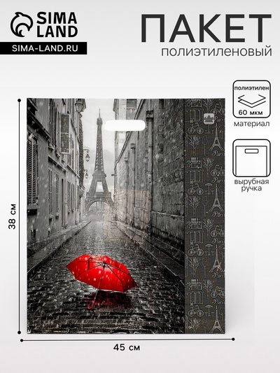 Пакет «Мой Париж», полиэтиленовый с вырубной ручкой, 38×45 см, 60 мкм