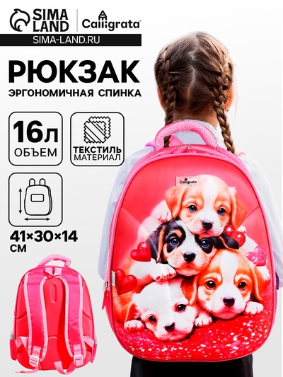 Рюкзак каркасный школьный Calligrata «Щенки», 39×30×14 см