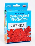 УЦЕНКА Набор для творчества «Лучистые кристаллы», красный - Фото 1