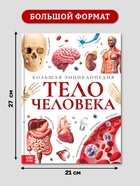 Энциклопедия в твёрдом переплёте "Строение тела человека", 128 страниц.  (артикул 10571537)  большой выбор товаров оптом и в розницу по низким ценам с доставкой