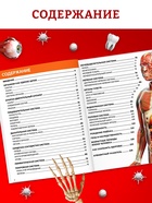 Энциклопедия в твёрдом переплёте "Строение тела человека", 128 страниц.  (артикул 10571537)  большой выбор товаров оптом и в розницу по низким ценам с доставкой