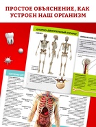 Энциклопедия в твёрдом переплёте "Строение тела человека", 128 страниц.  (артикул 10571537)  большой выбор товаров оптом и в розницу по низким ценам с доставкой