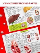 Энциклопедия в твёрдом переплёте "Строение тела человека", 128 страниц.  (артикул 10571537)  большой выбор товаров оптом и в розницу по низким ценам с доставкой