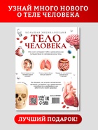 Энциклопедия в твёрдом переплёте "Строение тела человека", 128 страниц.  (артикул 10571537)  большой выбор товаров оптом и в розницу по низким ценам с доставкой