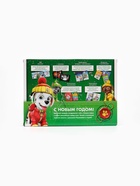 УЦЕНКА Подарочный набор в коробке «Новогодние спасатели», 6 книг, Щенячий патруль - Фото 16