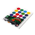 УЦЕНКА Акварель 24, Calligrata, TOP, пластик, европодвес - Фото 2