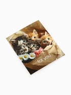 Набор мини-открыток в коробке со скрепками «Котики», 35 штук, 8 x 10 см - фото 63116283