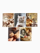 Набор мини-открыток в коробке со скрепками «Котики», 35 штук, 8 x 10 см - фото 63116276