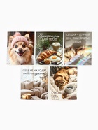 Набор мини-открыток в коробке со скрепками «Котики», 35 штук, 8 x 10 см - фото 63116277