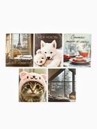 Набор мини-открыток в коробке со скрепками «Котики», 35 штук, 8 x 10 см - фото 63116281
