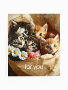 Набор мини-открыток в коробке со скрепками «Котики», 35 штук, 8 x 10 см - фото 63116282