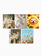 Набор мини-открыток в коробке со скрепками «Цветы», 35 штук, 8 x 10 см - фото 63116294