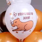 Воздушные шары латексные 12" «С днем рождения! Капибара», 25 шт., МИКС - Фото 5