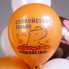 Воздушные шары латексные 12" «С днем рождения! Капибара», 25 шт., МИКС - Фото 6