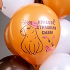 Воздушные шары латексные 12" «С днем рождения! Капибара», 25 шт., МИКС - Фото 7
