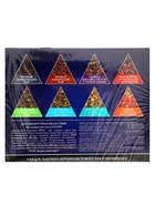 Чай ассорти «SVAY. Red», 48 пирамидок - Фото 11