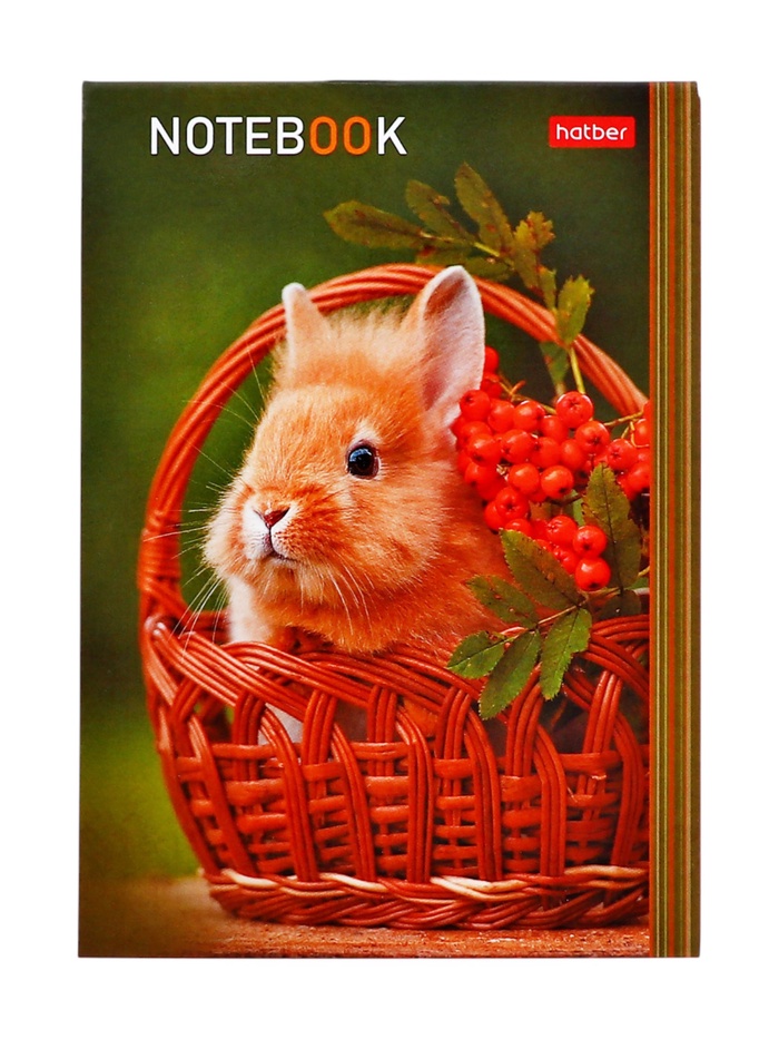 Блокнот Hatber «В мире животных», А6, 24 листа, на скобе, МИКС - Фото 1