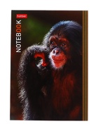 Блокнот Hatber «В мире животных», А6, 24 листа, на скобе, МИКС - Фото 11