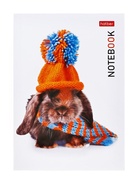 Блокнот Hatber «В мире животных», А6, 24 листа, на скобе, МИКС - Фото 12