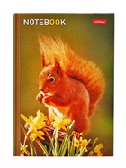 Блокнот Hatber «В мире животных», А6, 24 листа, на скобе, МИКС - Фото 13