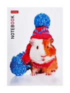 Блокнот Hatber «В мире животных», А6, 24 листа, на скобе, МИКС - Фото 14