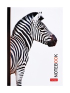 Блокнот Hatber «В мире животных», А6, 24 листа, на скобе, МИКС - Фото 16