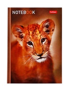 Блокнот Hatber «В мире животных», А6, 24 листа, на скобе, МИКС - Фото 4