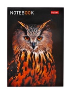 Блокнот Hatber «В мире животных», А6, 24 листа, на скобе, МИКС - Фото 5