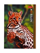 Блокнот Hatber «В мире животных», А6, 24 листа, на скобе, МИКС - Фото 5