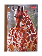 Блокнот Hatber «В мире животных», А6, 24 листа, на скобе, МИКС - Фото 7