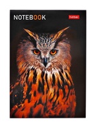 Блокнот Hatber «В мире животных», А6, 24 листа, на скобе, МИКС - Фото 7