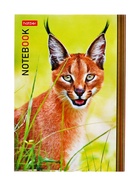 Блокнот Hatber «В мире животных», А6, 24 листа, на скобе, МИКС - Фото 8