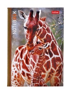 Блокнот Hatber «В мире животных», А6, 24 листа, на скобе, МИКС - Фото 9