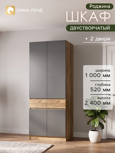 Шкаф двухстворчатый «Роджина», 1000×520×2400 мм, цвет дуб крафт/графит