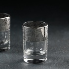 УЦЕНКА Набор питьевой Jungle, 6 предметов: графин 500 мл, стопка 50 мл 5 шт., с гравировкой и напылением, прозрачный - Фото 2