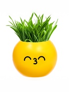 УЦЕНКА Набор для опытов, для детей «Выращиваем травку», растение в горшочке - эмодзи «Поцелуйчик» - Фото 2