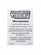 УЦЕНКА Набор для опытов, для детей «Выращиваем травку», растение в горшочке - эмодзи «Поцелуйчик» - Фото 5