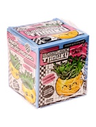 УЦЕНКА Набор для опытов, для детей «Выращиваем травку», растение в горшочке - эмодзи «Поцелуйчик» - Фото 6