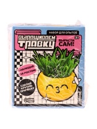 УЦЕНКА Набор для опытов, для детей «Выращиваем травку», растение в горшочке - эмодзи «Поцелуйчик» - Фото 7