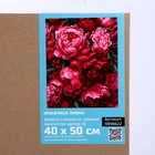 УЦЕНКА Картина по номерам на холсте с подрамником «Красочные пионы» 40×50 см - Фото 5