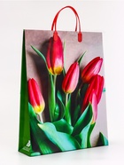 Пакет «Весенний букет», МИКС мягкий пластик, 41?32 см (комплект 10 шт) - фото 35481628