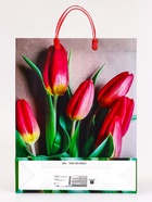 Пакет «Весенний букет», МИКС мягкий пластик, 41?32 см (комплект 10 шт) - фото 35481629