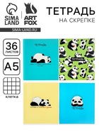 Тетрадь в клетку, 36 л., А5, на скрепке, блок №1 «Панды» МИКС - Фото 1