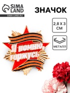 Значок на 9 мая с георгиевской лентой «Я помню, горжусь», 2.8×3 см - Фото 1