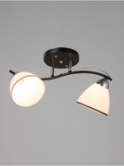 Люстра потолочная BayerLux «Ирида», 2хЕ27, 40 Вт, черно-хромовый, 42×19×24 см 10352884 Люстра потолочная BayerLux «Ирида», 2хЕ27, 40 Вт, черно-хромовый, 42×19×24 см 10352884